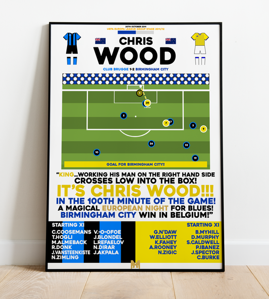 Chris Wood Goal vs Club Brugge - UEFA Europa League 2011/12 - Birmingham City