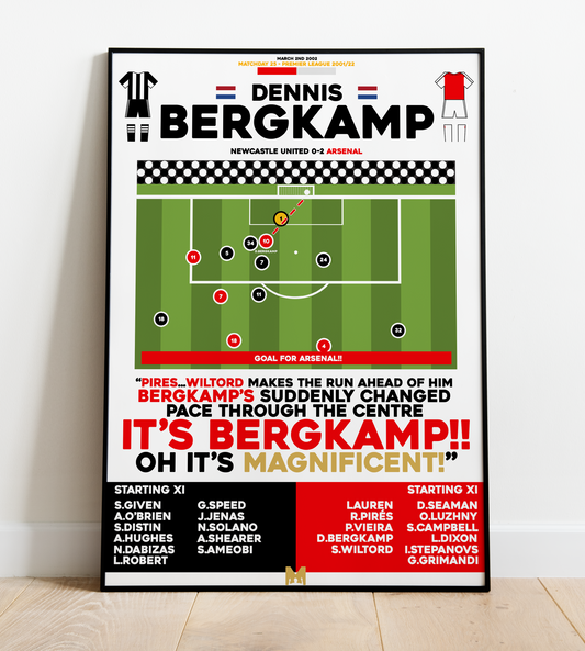 Dennis Bergkamp Goal vs Newcastle United - Premier League 2001/02 - Arsenal