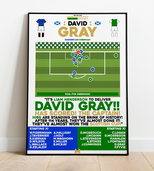 David Gray vs Rangers Goal - Scottish Cup Final 2015/16 - Hibernian