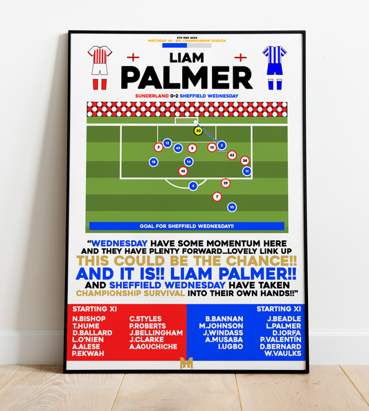 Liam Palmer Goal v Sunderland - EFL Championship 2023/24 - Sheffield Wednesday