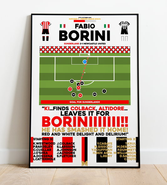 Fabio Borini Goal vs Newcastle United - Premier League 2013/14 - Sunderland
