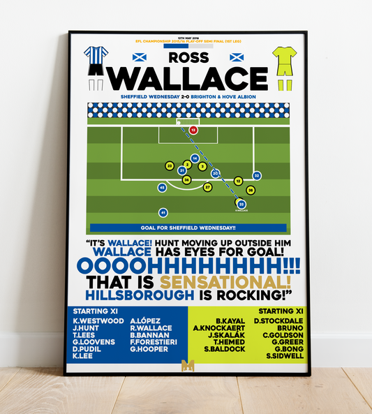 Ross Wallace Goal vs Brighton - EFL Championship Play-Offs 2015/16 - Sheffield Wednesday
