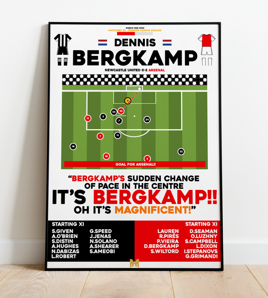 Dennis Bergkamp Goal vs Newcastle United - Premier League 2001/02 - Arsenal